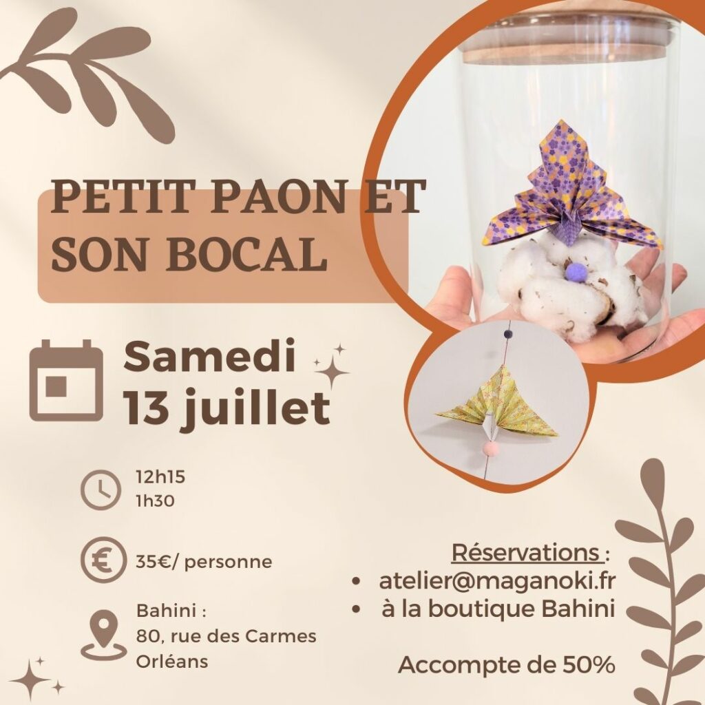 programme atelier origami petit paon et son bocal le 13 juillet 2024 à Orléans