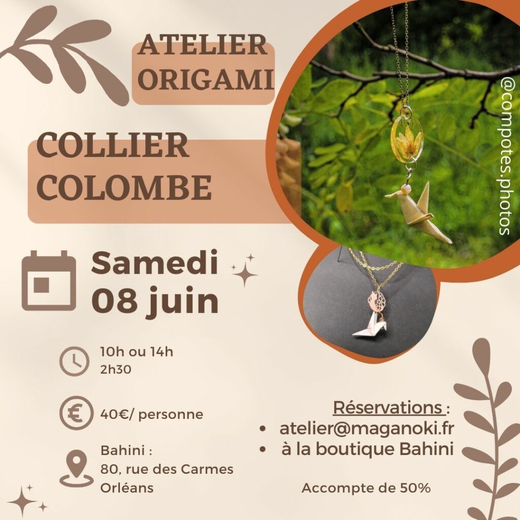 Programme origami colombe le 08 juin 2024 à Orléans