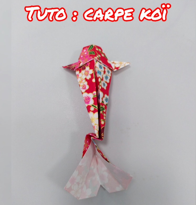 photo pliage origami carpe koï