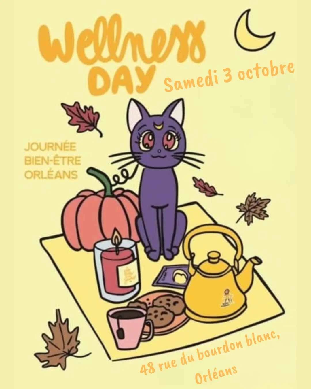 Affiche wellness day Orléans : samedi 3 octobre 2026 48 rue du bourdon blanc